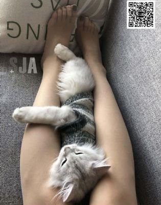亚洲高清不卡视频_剧情片高清在线观看