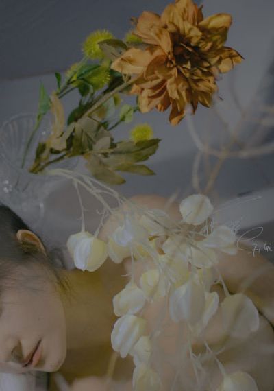 80后日本av女优_DVD高清视频观看