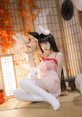 欧美服装公司名称_BD英语免费观看超清