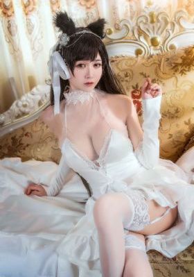 国产cfd仿真软件_BD英语高清在线